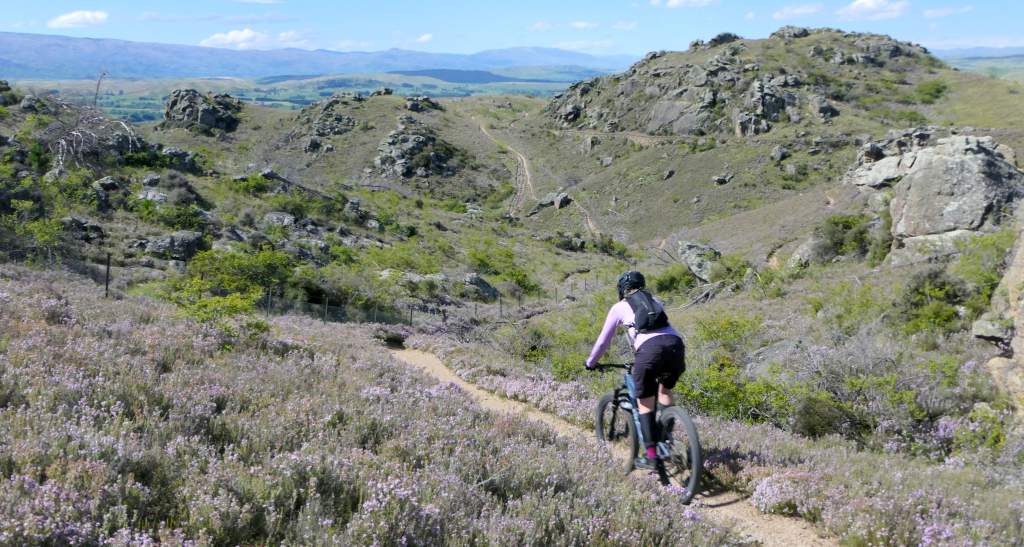 Matangi Station MTB Red Race 2 credit bennettandslater.co.nz