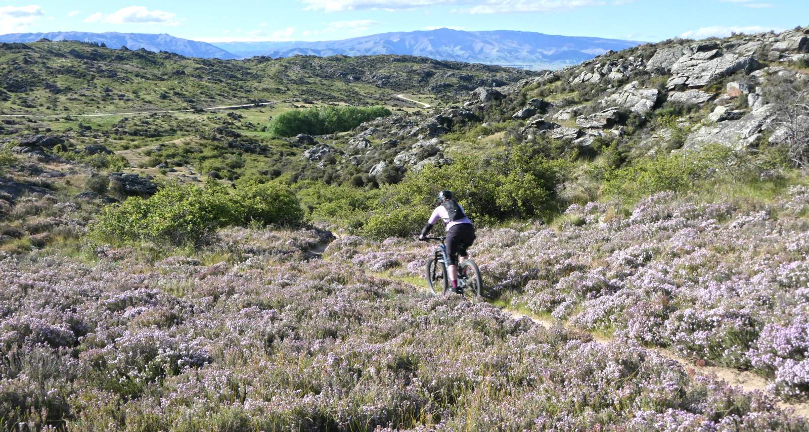 Matangi Station MTB Willow 3 credit bennettandslater.co.nz